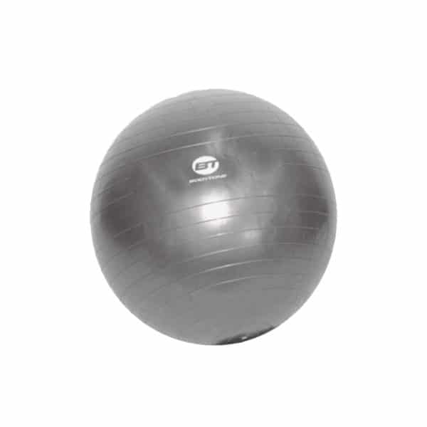 Bodytone Fitness Ball Træningsbold (55 cm)