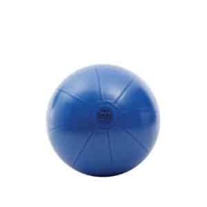 Toorx Gymball PRO ABS 55cm.