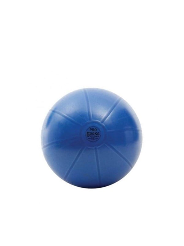 Toorx Antiburst Træningsbold Ø 55cm.